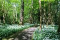 Springtime in Monaghan 2013 (23)